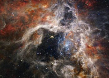 NASA uzay vazifelerinde ölenlerin sayısını açıkladı