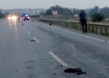 Ölümlü kazayı kırık ayna aydınlattı