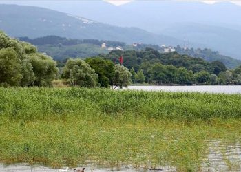 Sapanca Gölü azamî düzeye yaklaştı