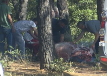 Sarıyer’de ormanda kaçak kısımlar