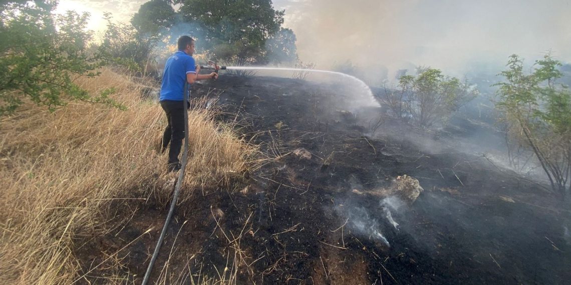 Siirt’te 65 dönüm buğday ekili alan yangında küle döndü
