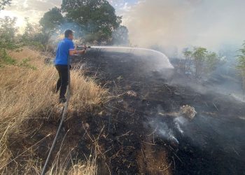Siirt’te 65 dönüm buğday ekili alan yangında küle döndü