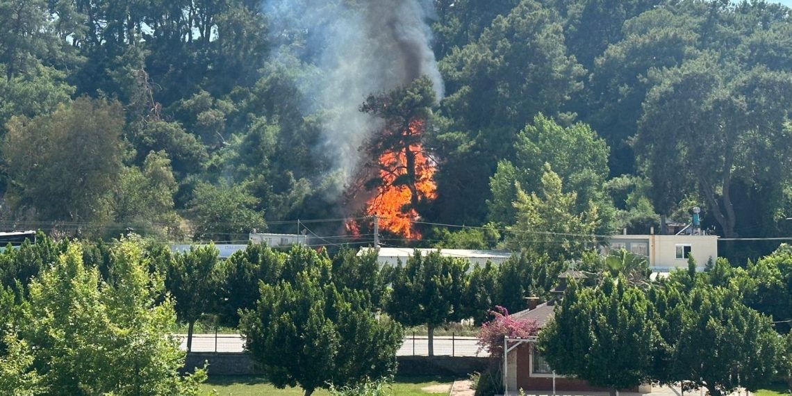 SON DAKİKA HABERİ: Antalya’da orman yangını