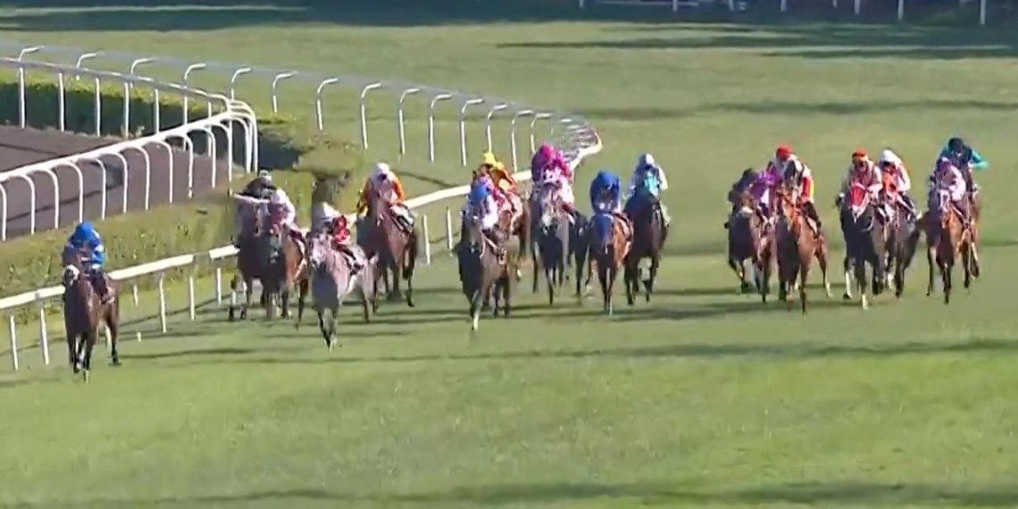 SON DAKİKA HABERİ: 97. Gazi Koşusu’nu Urfa Aslanı kazandı