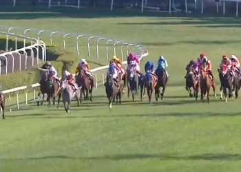 SON DAKİKA HABERİ: 97. Gazi Koşusu’nu Urfa Aslanı kazandı