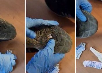 Taksim’de dilenci operasyonu | Ayakkabısının tabanından 902 lira çıktı