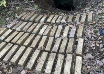 Tarihi eser operasyonu: 20 gözaltı