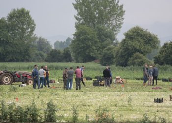 Tarlada çalışan emekçilere yıldırım çarptı: 1 meyyit