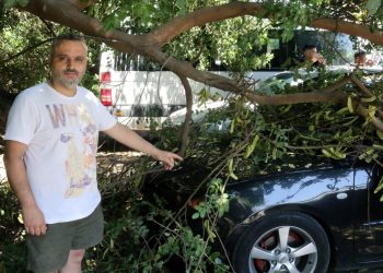 Tatile geldiği Antalya’da, arabasının üzerine ağaç devrildi