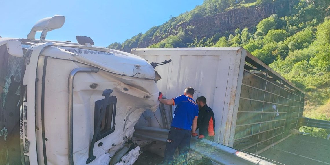 TIR devrildi, şoför ve 150 koyun öldü