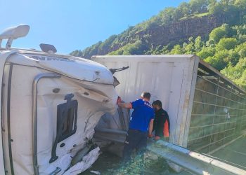 TIR devrildi, şoför ve 150 koyun öldü