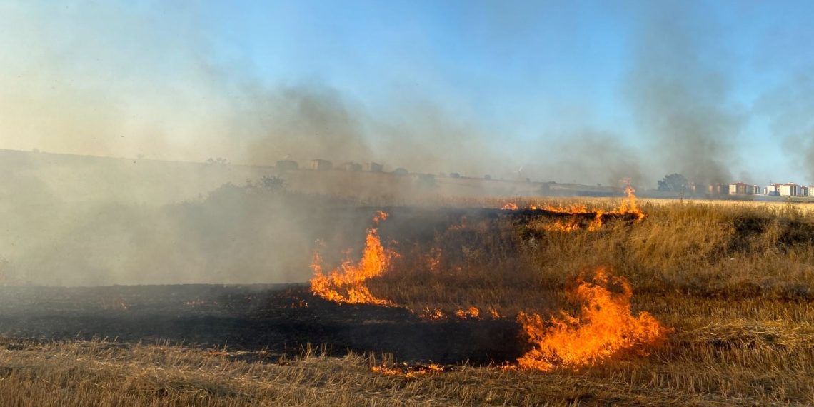 100 dönümlük anız yangını: İstanbul-Edirne yolu trafiğe kapandı