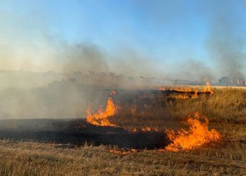 100 dönümlük anız yangını: İstanbul-Edirne yolu trafiğe kapandı