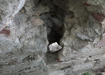 600 yıllık tarihi hamam definecilerin radarında: Duvarları deldiler