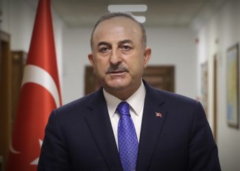 NATO PA Türk Delegasyonu Yeni Başkanı Mevlüt Çavuşoğlu
