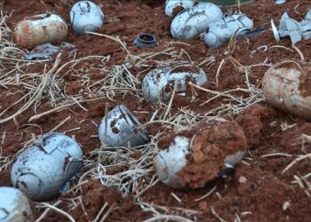 ABD’den Ukrayna’ya misket bombası takviyesi