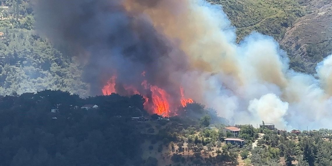Adalet Bakanı Yılmaz Tunç: Yangınlarla ilgili 7 şüpheliden 2’si tutuklandı