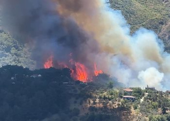 Adalet Bakanı Yılmaz Tunç: Yangınlarla ilgili 7 şüpheliden 2’si tutuklandı