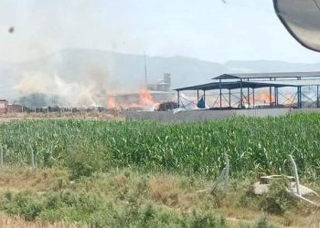 Adana’da orman eserleri satılan iş yerinde yangın