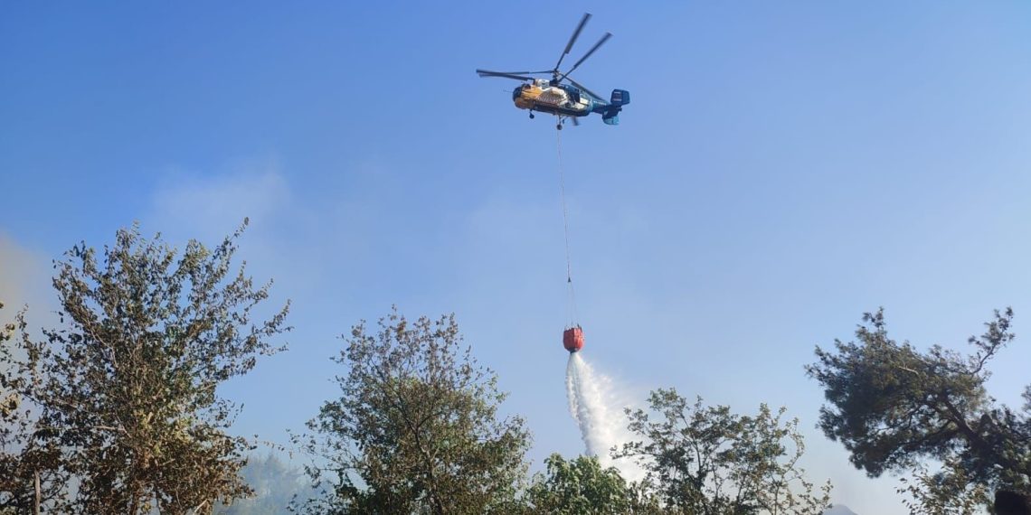 Adana’da orman yangını