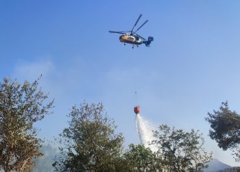 Adana’da orman yangını