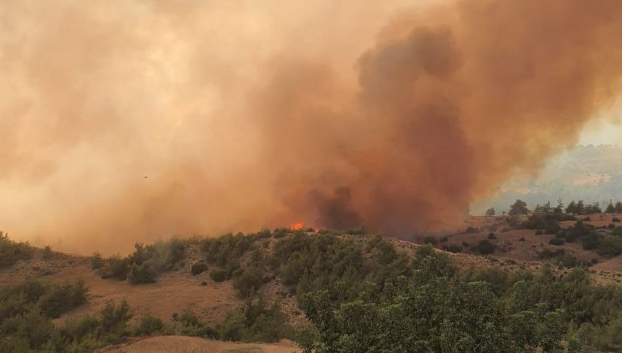 Adana’da orman yangını