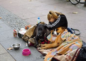 Almanya’da 2,2 milyon çocuk ve genç, geçen yılı “yoksulluk sınırında” geçirdi