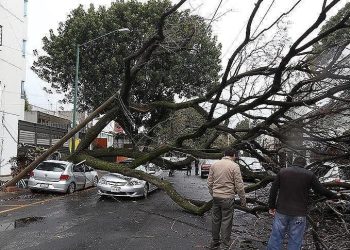 Almanya’da fırtına can aldı