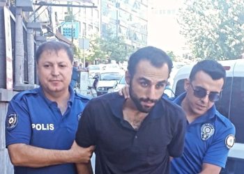 Annesi ve kardeşini dövdü, konuttaki 4 kediyi öldürdü