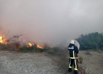 Antalya’da zeytinlik alanda yangın