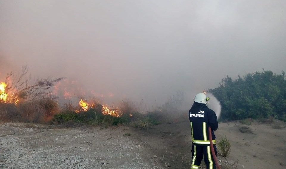 Antalya’da zeytinlik alanda yangın