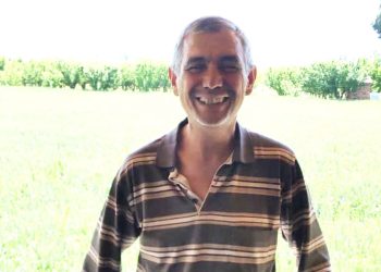 Arı soktu, kalp krizi geçirdi