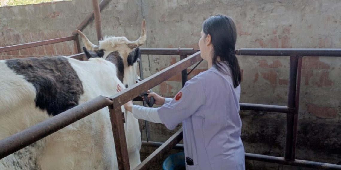Aydın’ın 21 mahallesinde şap karantinası