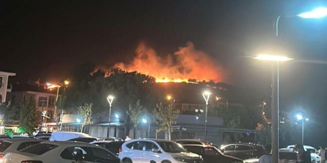 Ayvalık’taki yangında 6 hektar ziyan gördü