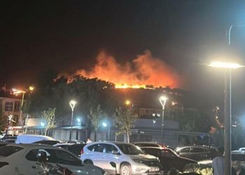 Ayvalık’taki yangında 6 hektar ziyan gördü