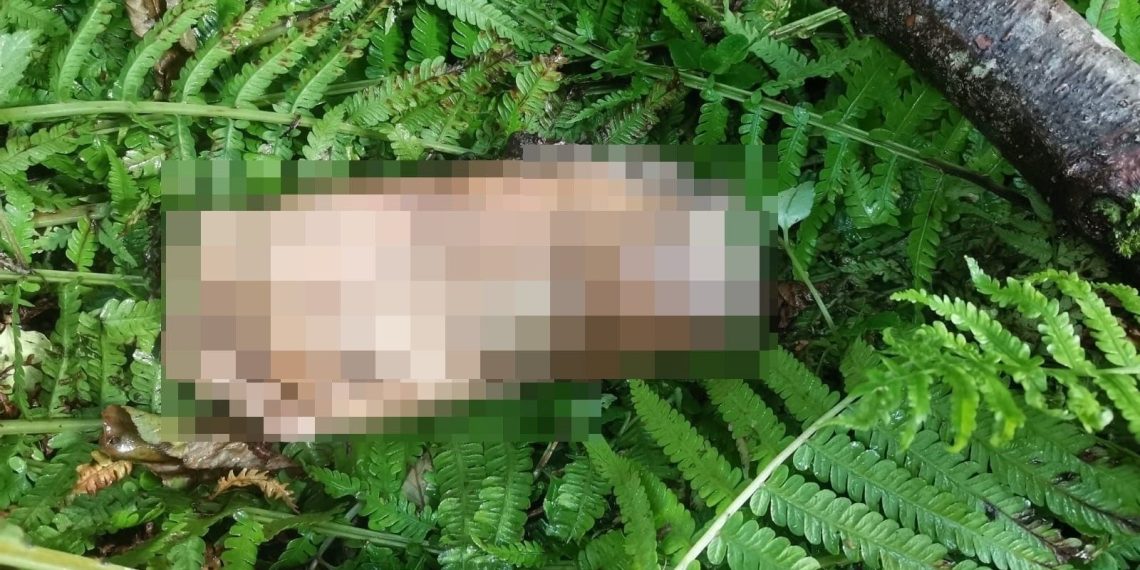 Bulunan kesik ayak için belediyeden DNA anonsu