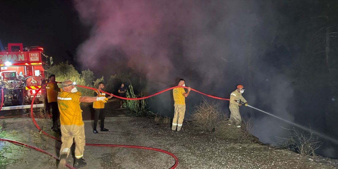 Bursa Osmangazi’de orman yangını: Bir kişi gözaltına alındı