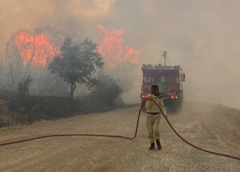 Çanakkale’de orman yangını