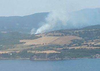 Çanakkale’de orman yangını