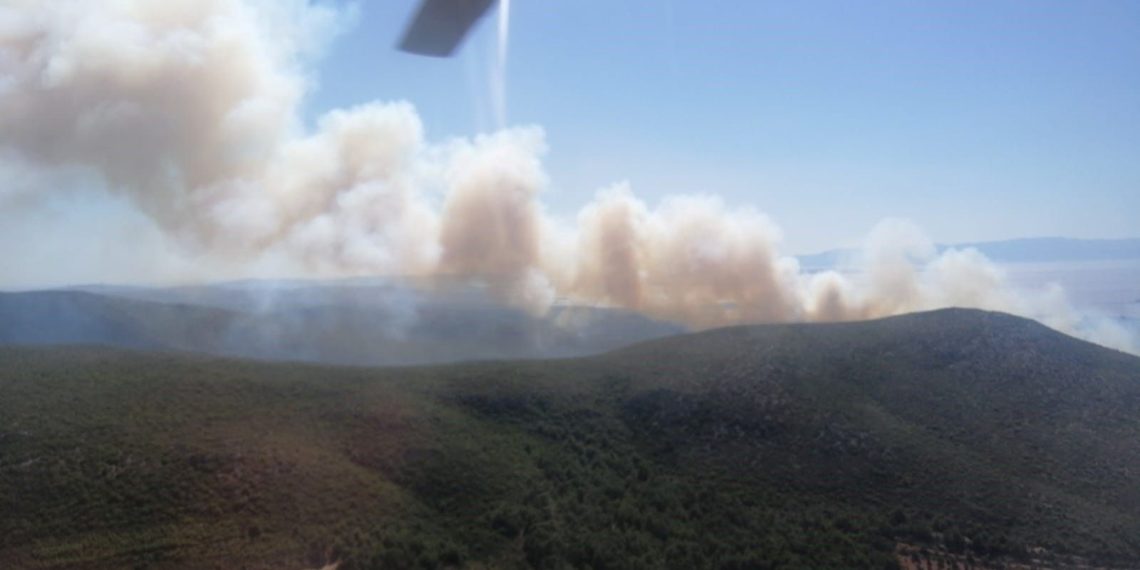 Çeşme’de orman yangını