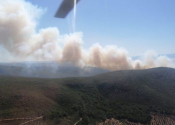Çeşme’de orman yangını