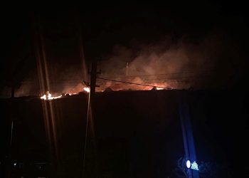 Çeşme’de orman yangını: Gruplar bölgede