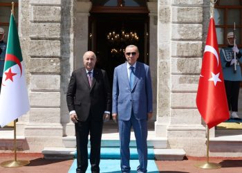 Cumhurbaşkanı Erdoğan, Cezayirli mevkidaşı Tebbun’u kabul etti