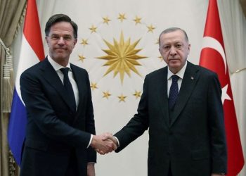 Cumhurbaşkanı Erdoğan, Hollanda Başbakanı ile görüştü