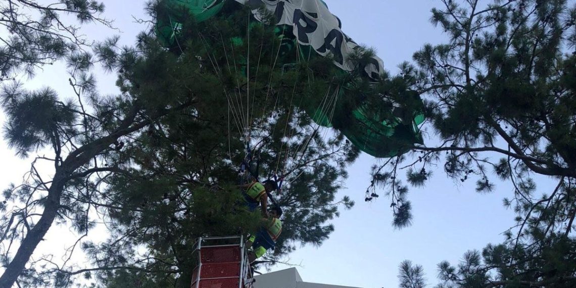 Deniz paraşütünün ipi kopunca ağaca düştüler