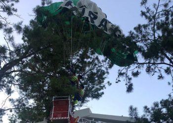 Deniz paraşütünün ipi kopunca ağaca düştüler