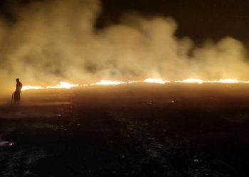 Diyarbakır’da anız yangını: 3 bin dönüm arazi ziyan gördü