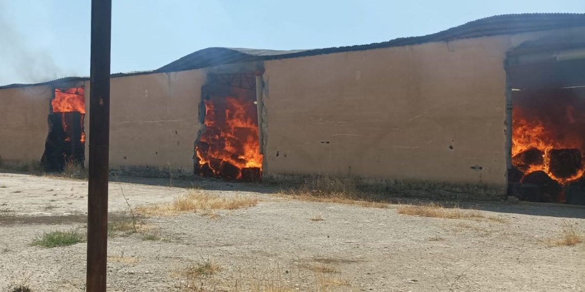 Diyarbakır’da fabrikanın deposu yandı: 110 milyon liralık bin ton pamuk kül oldu