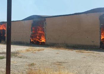 Diyarbakır’da fabrikanın deposu yandı: 110 milyon liralık bin ton pamuk kül oldu