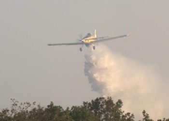 Edirne’de büyük orman yangını: 3 köyde ansızın başladı